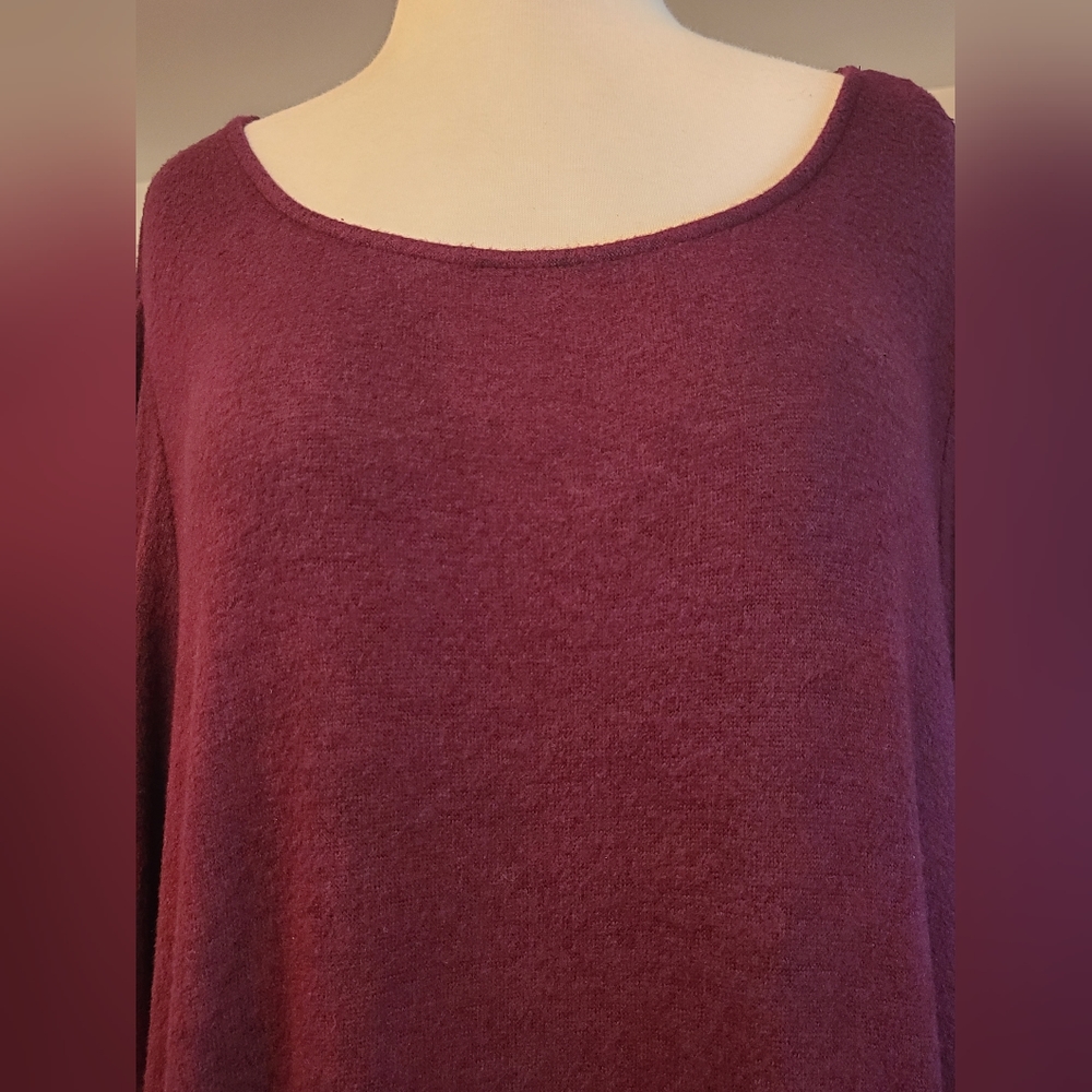NWT AGB size 3X burgundy dress - Picture 6 of 11